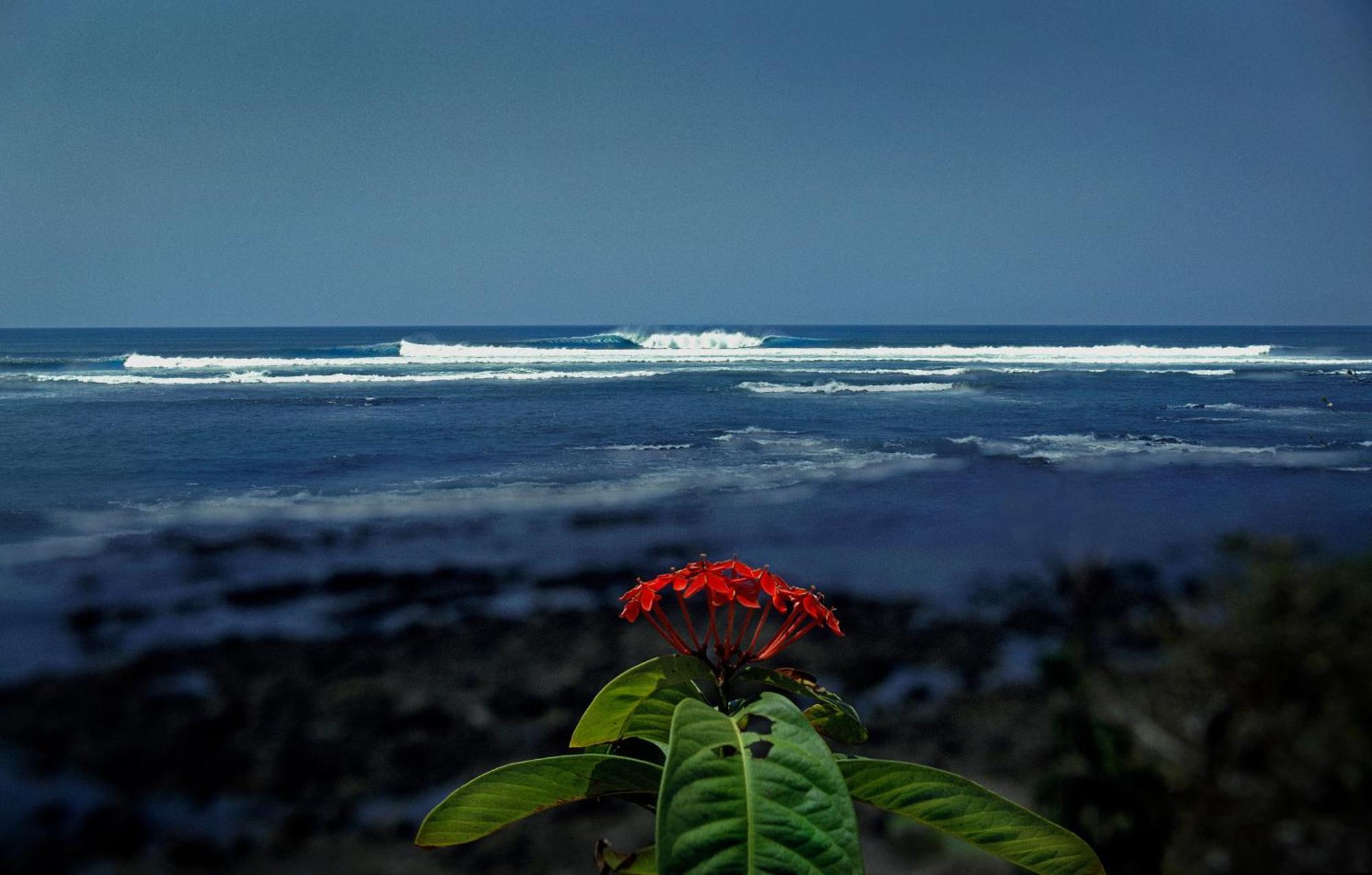 Oceanfront Bungalows - Paradise Rentals サンタ・カタリナ エクステリア 写真