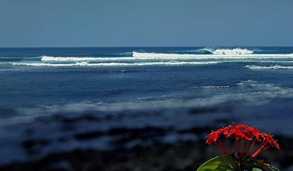 Oceanfront Bungalows - Paradise Rentals サンタ・カタリナ エクステリア 写真